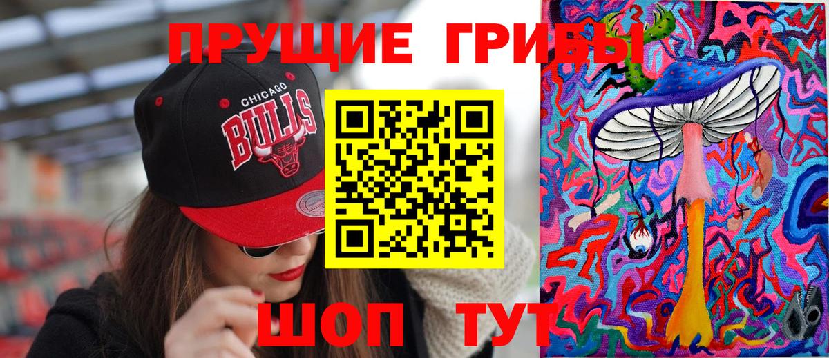 Псилоцибиновые грибы Psilocybine cubensis  Вход с VPN  Южноуральск  Галлюциногенные грибы мицелий 