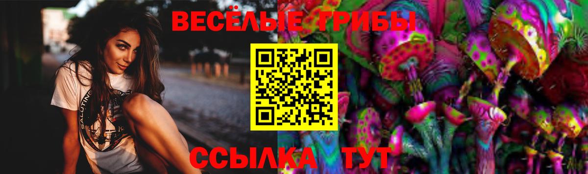 Галлюциногенные грибы мицелий Южноуральск